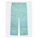 Columbia Outdoorové nohavice Bugaboo™ II Pant Zelená Regular Fit