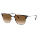 Ray-Ban New Clubmaster RB4416 710/51 - M (51)