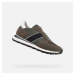 GEOX Khaki men's sneakers Spherica vseries - Men's