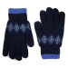 Art Of Polo Man's Gloves Rk22233 Navy Blue