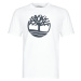 Timberland  SS KENNEBEC RIVER BRAND TREE TEE  Tričká s krátkym rukávom Biela