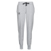 Under Armour  Rival Fleece Joggers  Tepláky/Vrchné oblečenie Šedá