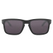 Oakley Holbrook™ Black Prizm