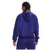 Under Armour Essential Script Hoodie Blue