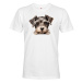 Pánské tričko s potlačou Knírač - tričko pre milovníkov psov