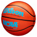 Wilson NCAA Elevate VTX