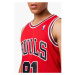 Mitchell & Ness Chicago Bulls NBA Dennis Rodman M tričko SMJYGS18154-CBUSCAR97DRD pánske