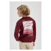 DEFACTO Boy's Crew Neck Back Printed Thick Sweatshirt