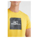 O'NEILL Funkčné tričko 'Cube'  zlatá / sivá / čierna / biela