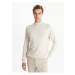 LC Waikiki Half Turtleneck Long Sleeve Men's Knitwear Sweater