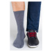 Pánské ponožky model 7464291 Bambus - Regina Socks