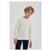 DEFACTO Boy's Crew Neck Knitwear Sweater