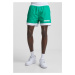 Men's shorts Retro green