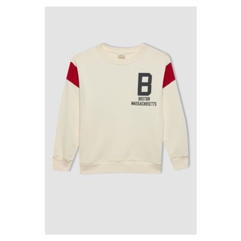 DEFACTO Boy's Ecru Crew Neck Back Printed Thick Sweatshirt