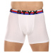 Men's boxers Styx long sports elastic white tricolor