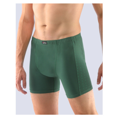 Men's boxers Gino green