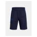 Under Armour Boys' shorts UA Zone 7in Short - Boys