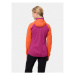 Jack Wolfskin Softshellová bunda Go Hike Softshell 1306862 Ružová Regular Fit