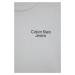 Detské bavlnené tričko Calvin Klein Jeans šedá farba, s potlačou