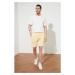 Trendyol Yellow Men's Regular Fit Shorts &amp; Bermuda