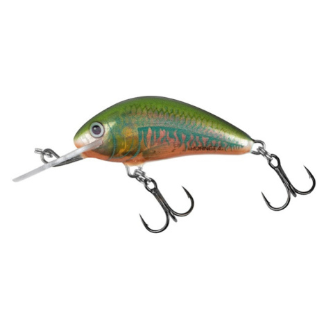 Salmo wobler hornet sinking holo oikawa - 3,5 cm