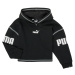 Puma  PUMA POWER HOODIE  Mikiny Čierna