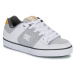 DC Shoes  PURE  Nízke tenisky Šedá