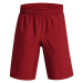 Under Armour UA Woven Graphic Shorts J 1370178-610