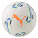Puma Futsal 1 FIFA Quality Pro