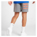 Jordan Šortky Rpt Fade Short Gry