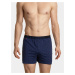 Boxer shorts Atlantic 2MBX-035 A'2 S-2XL loose navy-blue 059