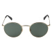 LEVI'S ® Slnečné okuliare '1005/S'  zlatá / dymovo šedá