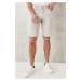 AC&Co / Altınyıldız Classics Men's Stone Slim Fit Slim Fit Dobby Shorts 100% Cotton Casual Chino