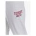 Tommy Jeans Teplákové nohavice Graphic DM0DM16337 Sivá Regular Fit