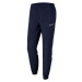 Pánské kalhoty Dri-FIT Academy 21 M CW6128 451 - Nike S