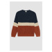 DEFACTO Boy's Crew Neck Color Block Knitwear Sweater