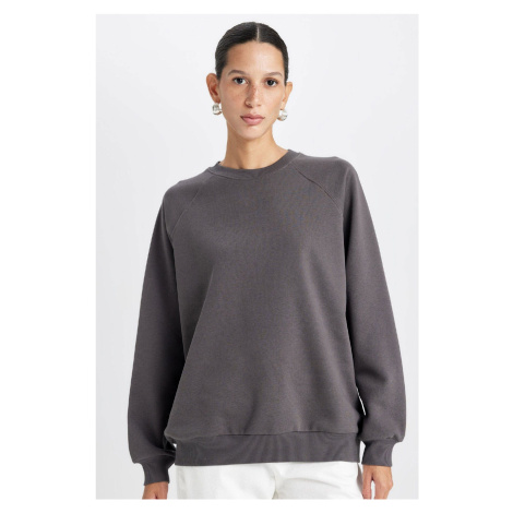 DEFACTO Oversize Wide Pattern Crew Neck Thick Basic Plain Sweatshirt