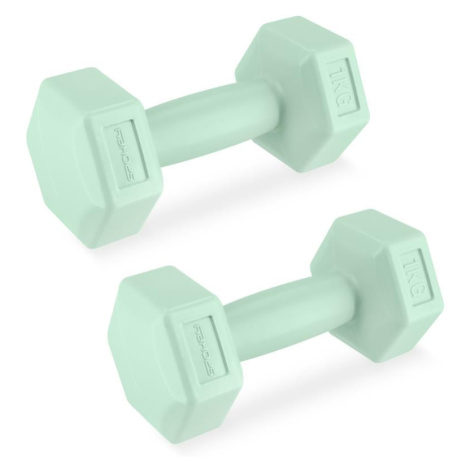 Spokey MONSTER Hexagonal dumbbell set, 1 kg