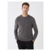 LC Waikiki Crew Neck Long Sleeve Men's Knitwear Sweater