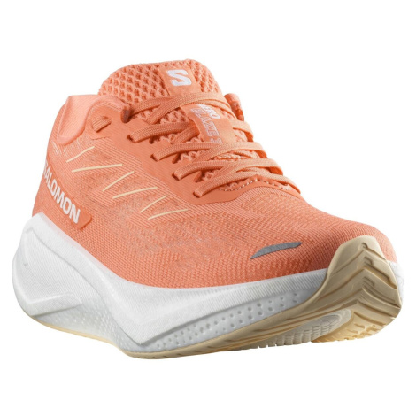 Salomon Aero Blaze W L47875000
