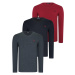 TRIPLE SET T8587 DEWBERRY V-NECK MEN'S SWEATSHIRT-BLACK-ANTHRACITE-BURGUNDY