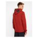 The North Face Mikina Seasonal Drew Peak NF0A2TUV Hnedá Regular Fit