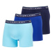 Polo Ralph Lauren Boxerky 3-Pack M 714830300023