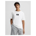 Pánske tričko Organic Cotton Lounge T-Shirt CK96 000NM2399E100 biela - Calvin Klein