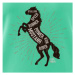 Horse mustang - Tričko dámske Dream