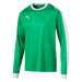 Puma LIGA GK JERSEY JR Chlapčenské tričko, zelená, veľkosť