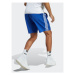 Adidas Športové kraťasy Essentials Chelsea IC1487 Modrá Regular Fit