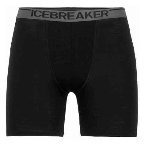 ICEBREAKER Športové nohavičky  sivá / čierna Icebreaker Merino