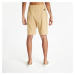 Šortky The North Face Summer Logo Short Khaki Stone