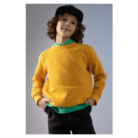 DEFACTO Boy Regular Fit Crew Neck Reversible Sweatshirt